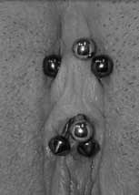 Klitoris vorhaut piercing