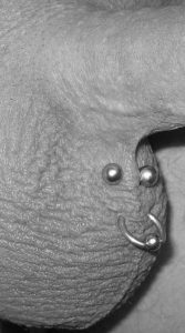 Penis intim piercing Mandelig intim
