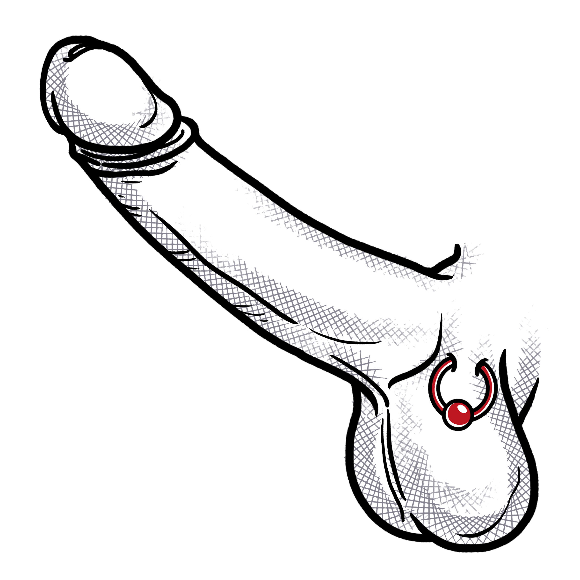 Penis intimpiercing Keuschhaltung