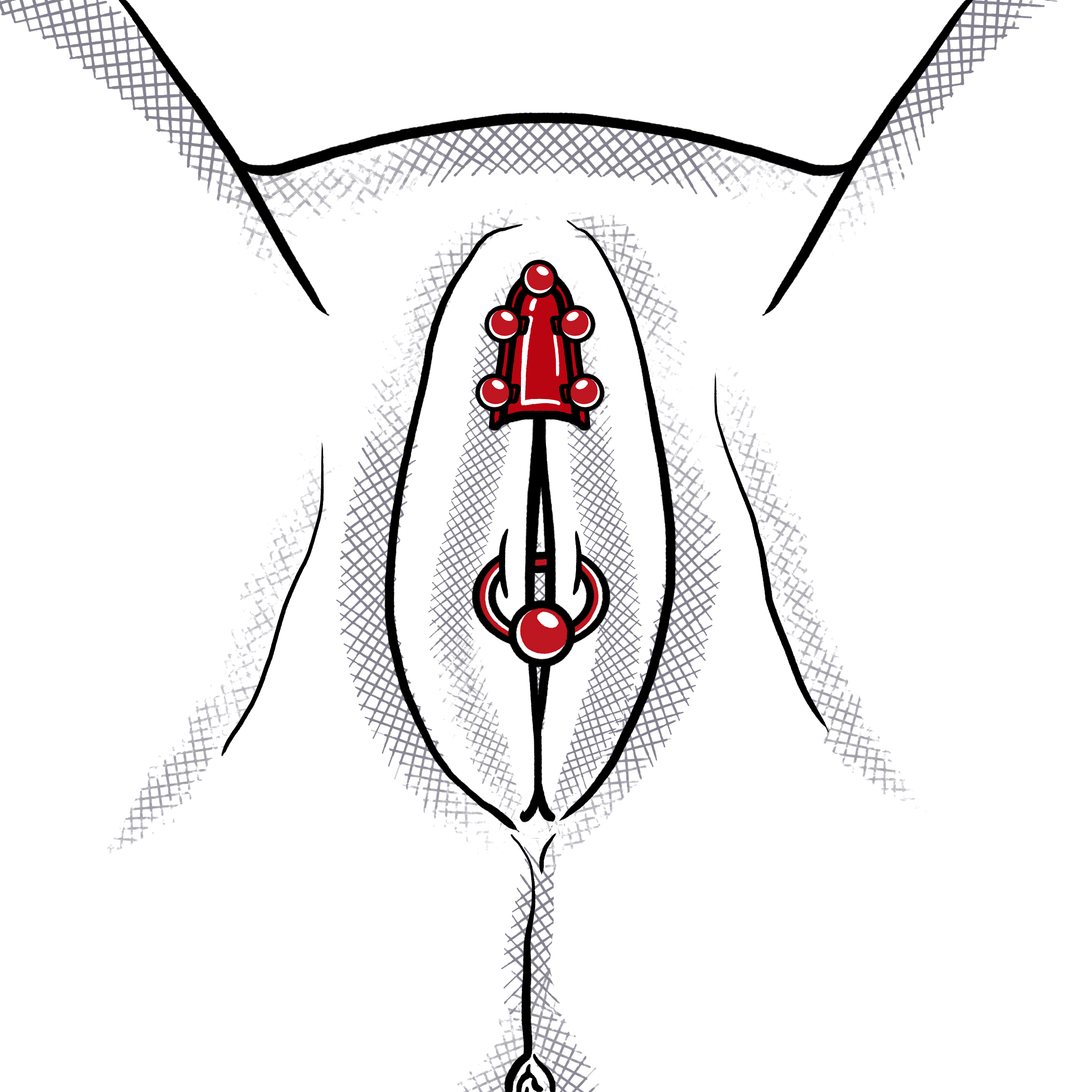 Female chasity piercing