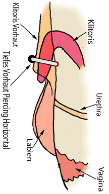 Foto klitoris piercing Klitoris Vagina,