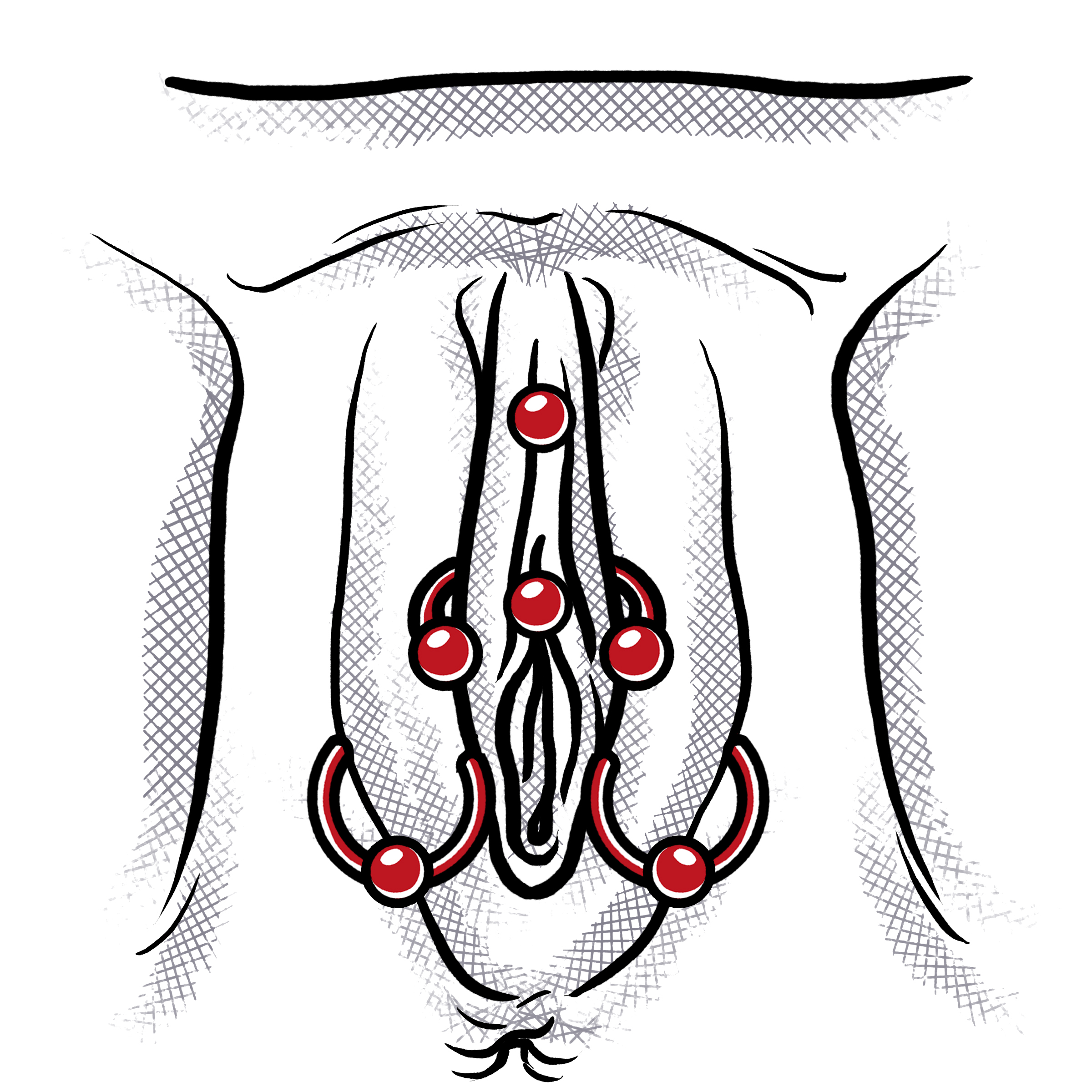 Kvh intimpiercing Klitorisvorhautpiercing