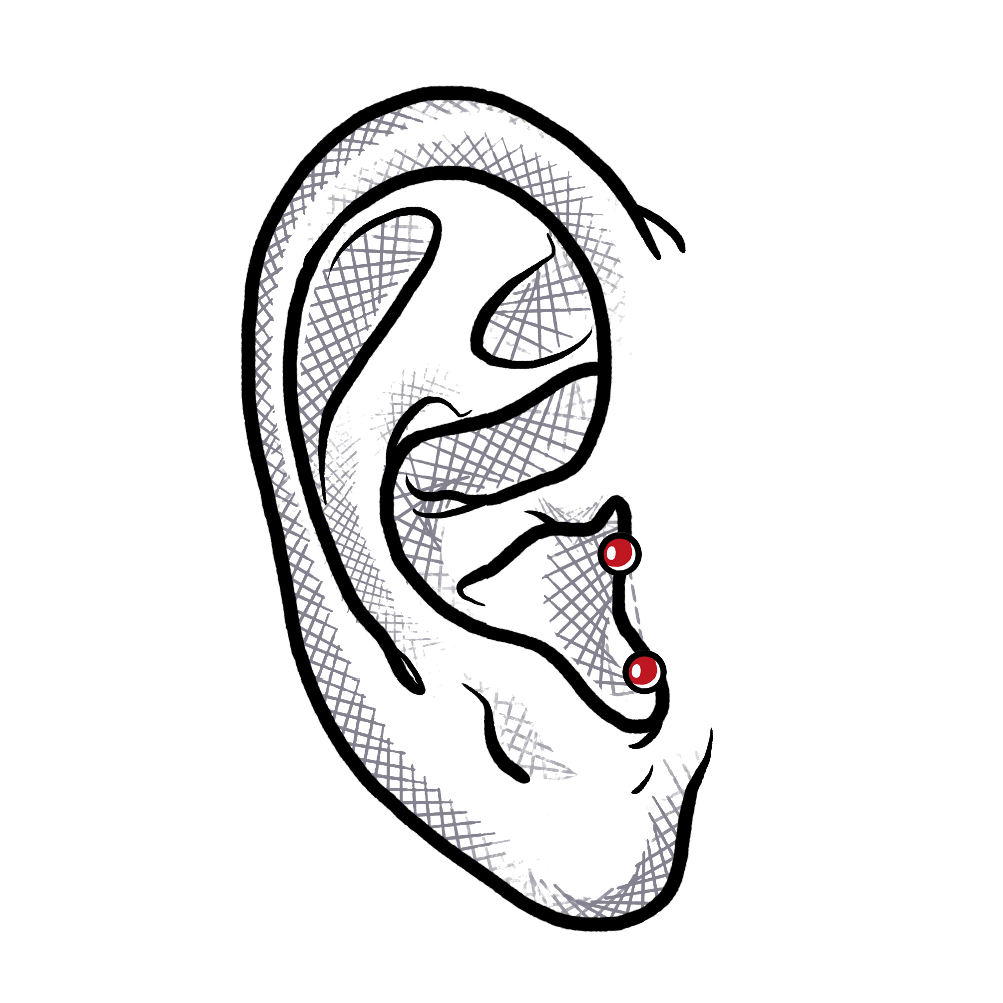 Vertical tragus store